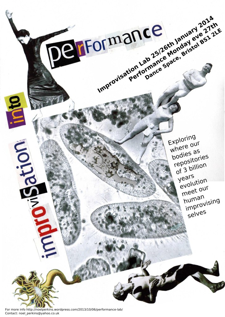 performance lab flyer