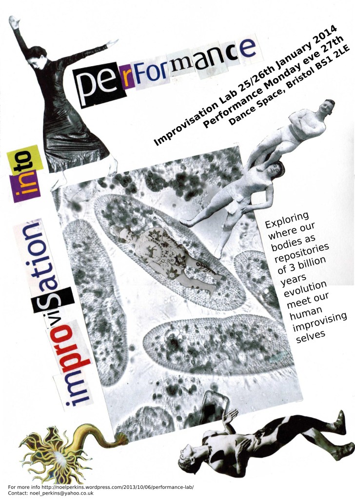 performance lab flyer